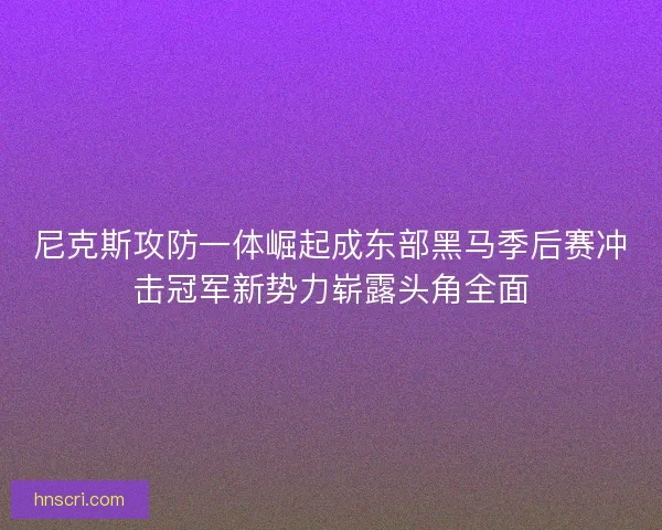 尼克斯攻防一体崛起成东部黑马季后赛冲击冠军新势力崭露头角全面